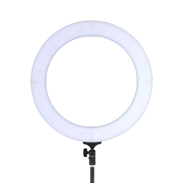 Embellir 14’ Led Ring Light 5600k 3000lm Dimmable Stand